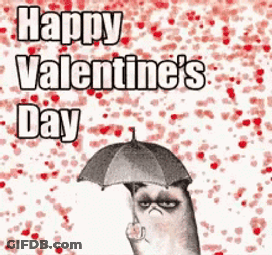 Funny Valentines Grumpy Cat GIF