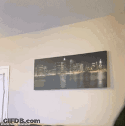 Funny Valentines Intruder GIF