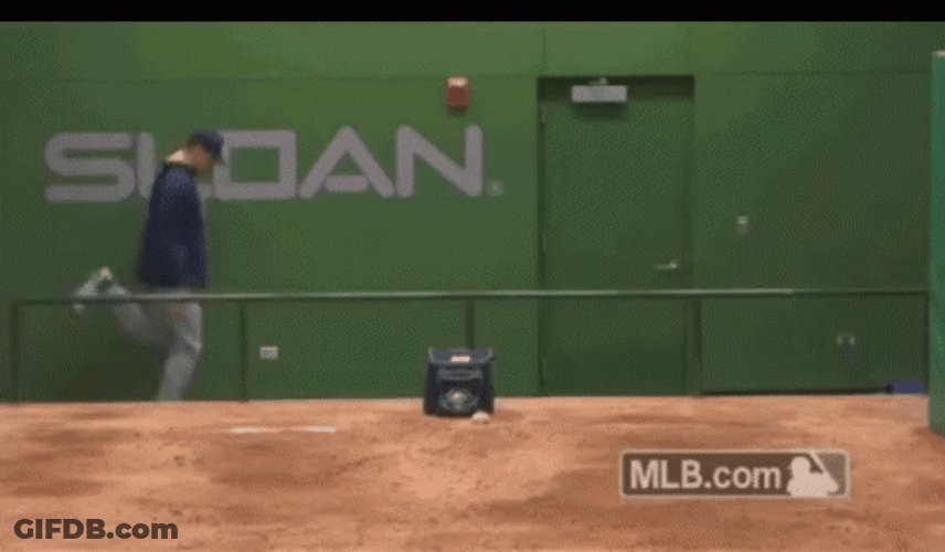 Funny Walking Put Me In Coach GIF