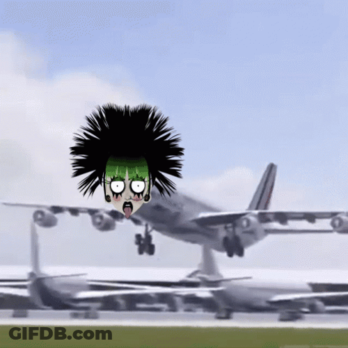 Funny Weird Burton Plane GIF