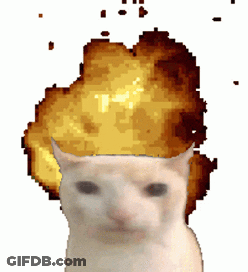 Funny White Cat Brain Blast GIF