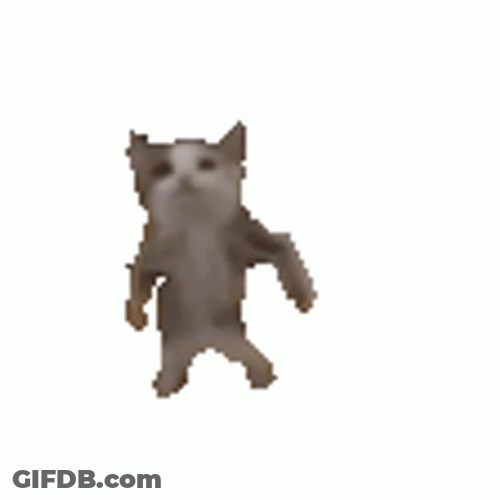 Funny White Cat Doing Goofy Ahh Dance GIF