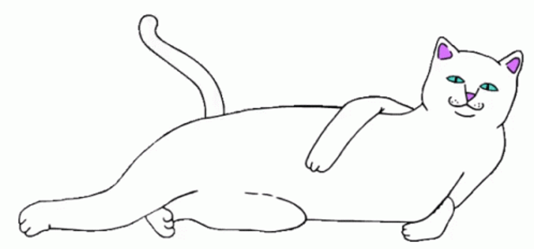 Funny White Cat Wink GIF