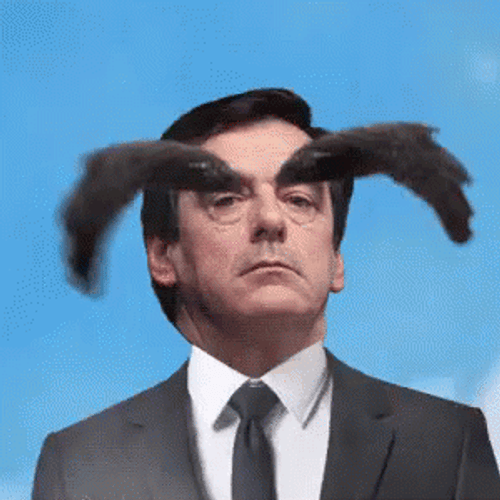 Funny Winged Eyebrow Flying GIF