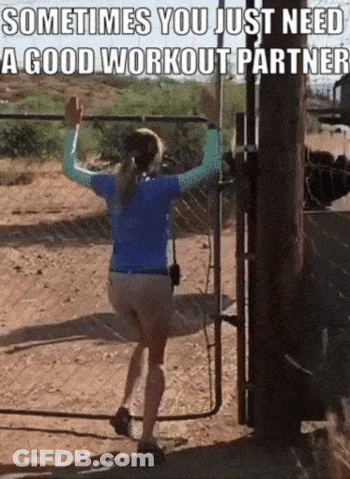 Funny Workout Good Partner Burn Calories GIF