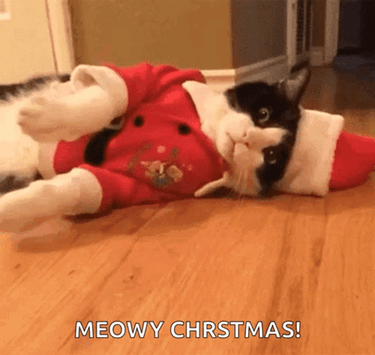 Funny Xmas Santa Kitty Waving GIF