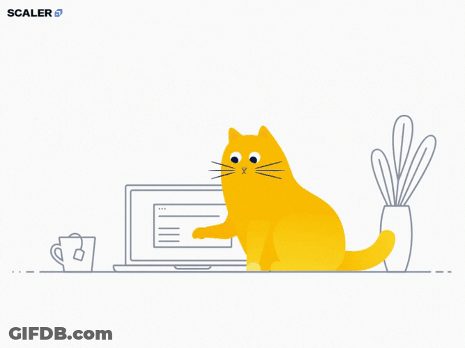 Funny Yellow Typing Cat GIF