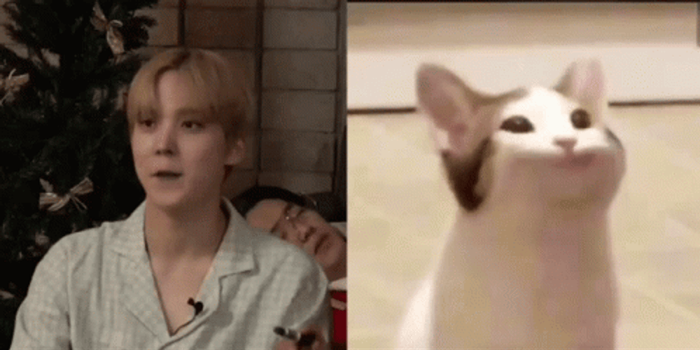 Funny Yunho Popcat Meme GIF