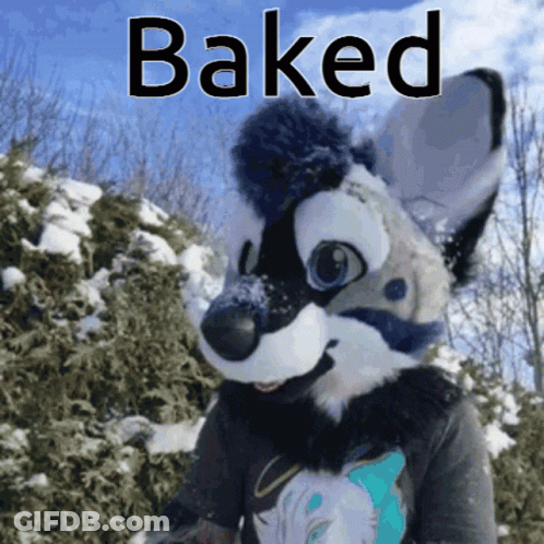 Furry Animal Saying Baked GIF