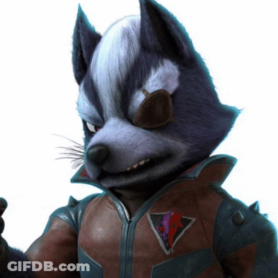Furry Animal Wearing Sunglasses GIF