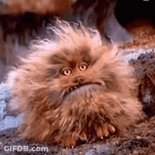 Furry Animal With Beard And Big Eyes GIF