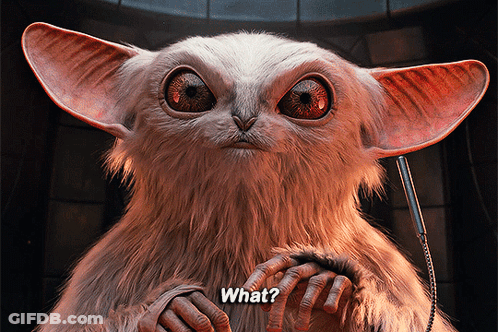 Furry Creature Saying What GIF