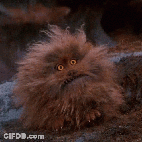 Furry Creature With Big Yellow Eyes Sitting On Ground GIF