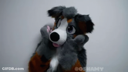 Furry Dog Costume GIF