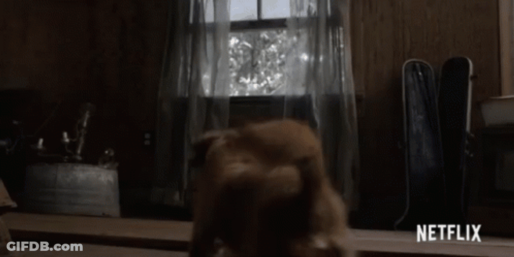 Furry Dog Jump Out Window GIF