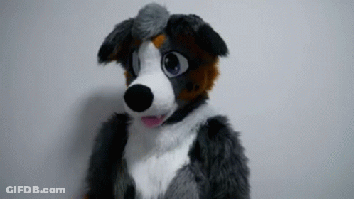 Furry Dog Mascot Looking At Camera GIF