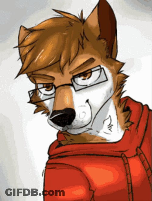 Furry Eyebrows Flash Yiff GIF