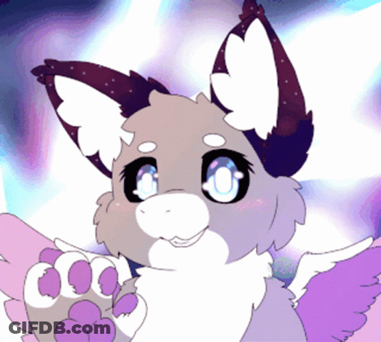 Furry Looking With Cute Eyes GIF