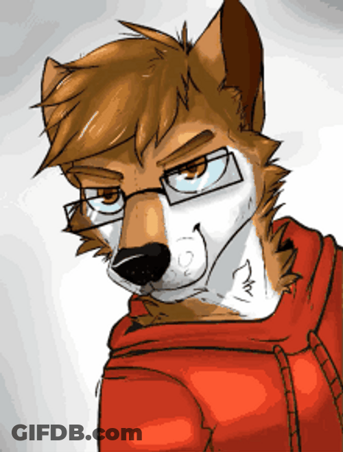 Furry Raising Eyebrows GIF