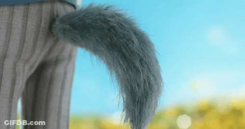 Furry Tail On A Person GIF