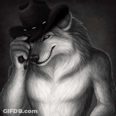 Furry Wolf In Cowboy Hat Smiling GIF