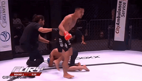 Fury Fighting Championship Round 1 3:25 GIF