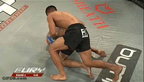 Fury Fighting Championship Round 2 GIF