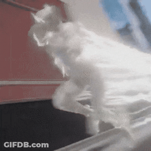 Fusion Animations Godspeed GIF