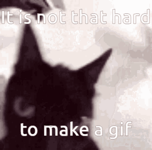 Fuuny Black Cat Discord Pfp GIF