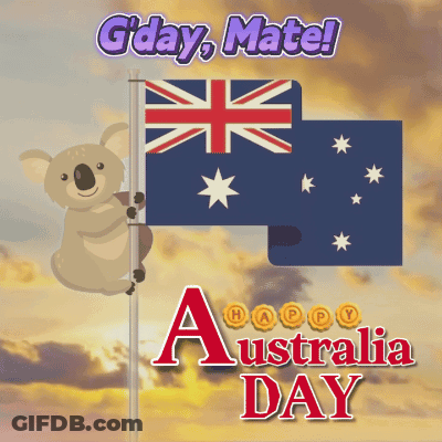 G Day Mate Australia Day Greeting With A Koala On A Flag GIF
