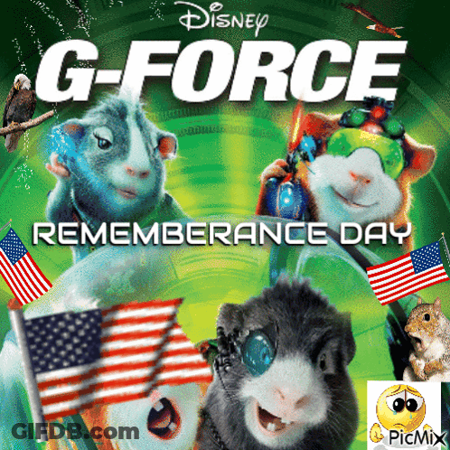 G-Force Remembrance Day Poster With Smiley Face GIF