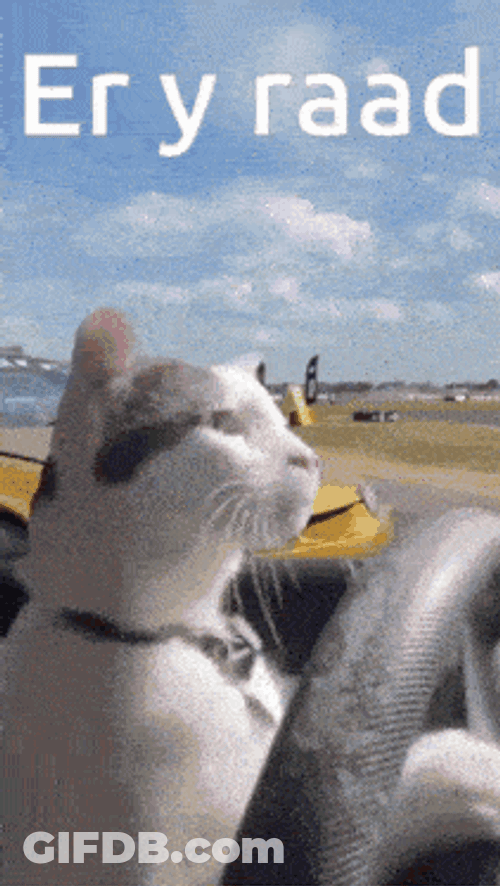 Gaelg Manx GIF