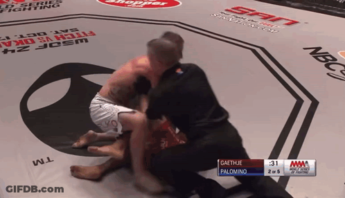 Gaethje Palomino On The Ground GIF