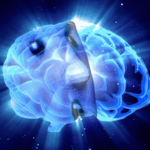 Galaxy Brain Amazingly Shocking GIF