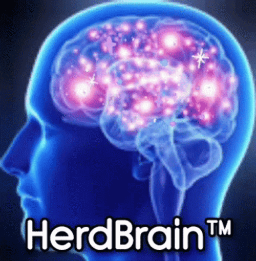 Galaxy Brain Herd Brain GIF