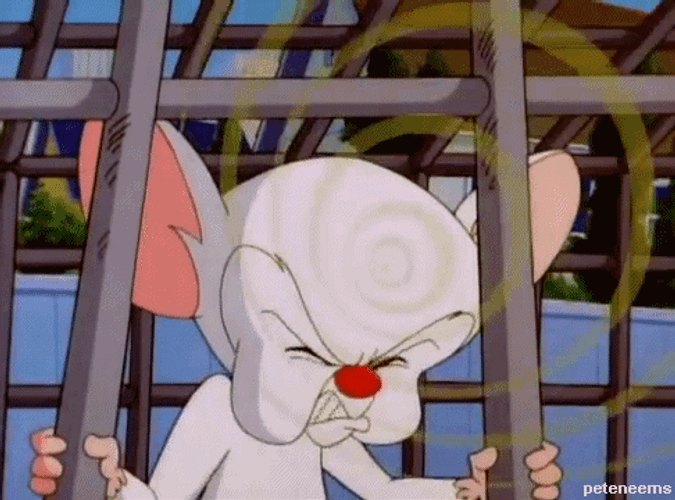 Galaxy Brain Pinky And The Brain Meme GIF