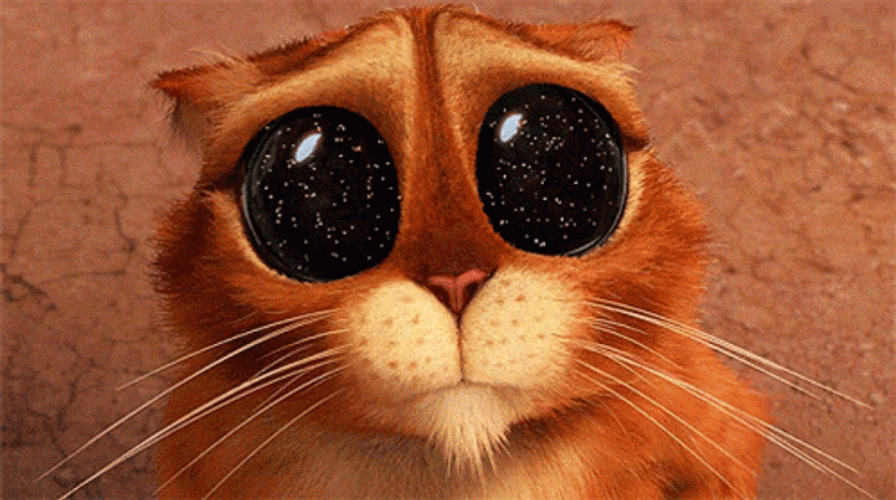 Galaxy Puss In Boots Eyes GIF