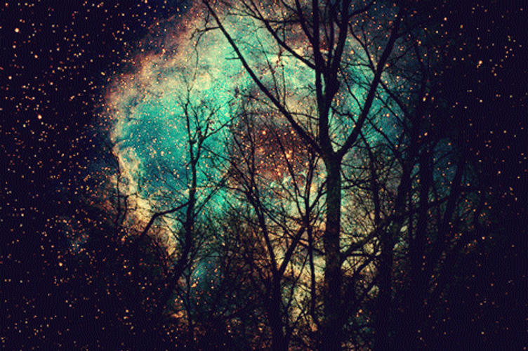 Galaxy Tree Silhouette GIF
