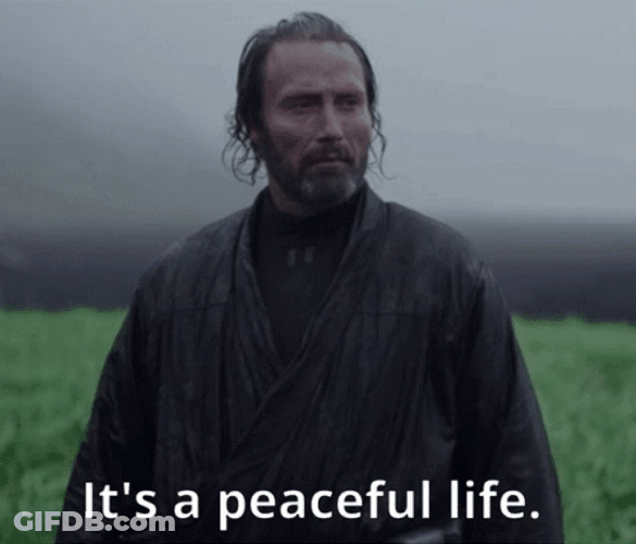 Galen Erso It's A Peaceful Life GIF