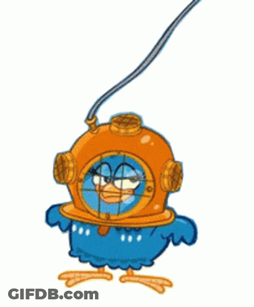 Galinha Pintadinha As Scuba Steve GIF