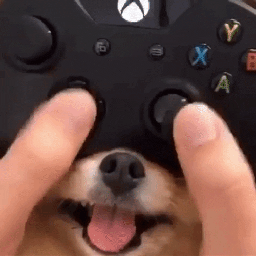 Game Controller Dog Nose GIF