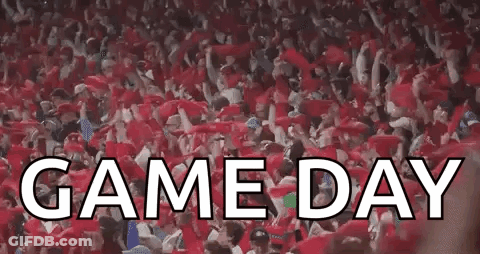 Game Day Crowd In Stadium GIF