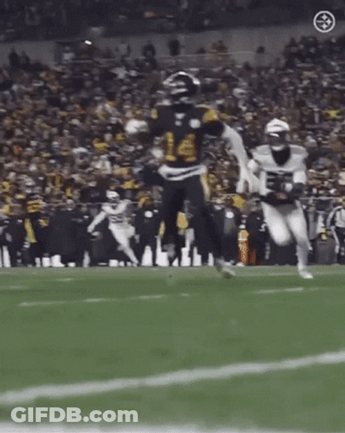 Game Fight George Pickens GIF