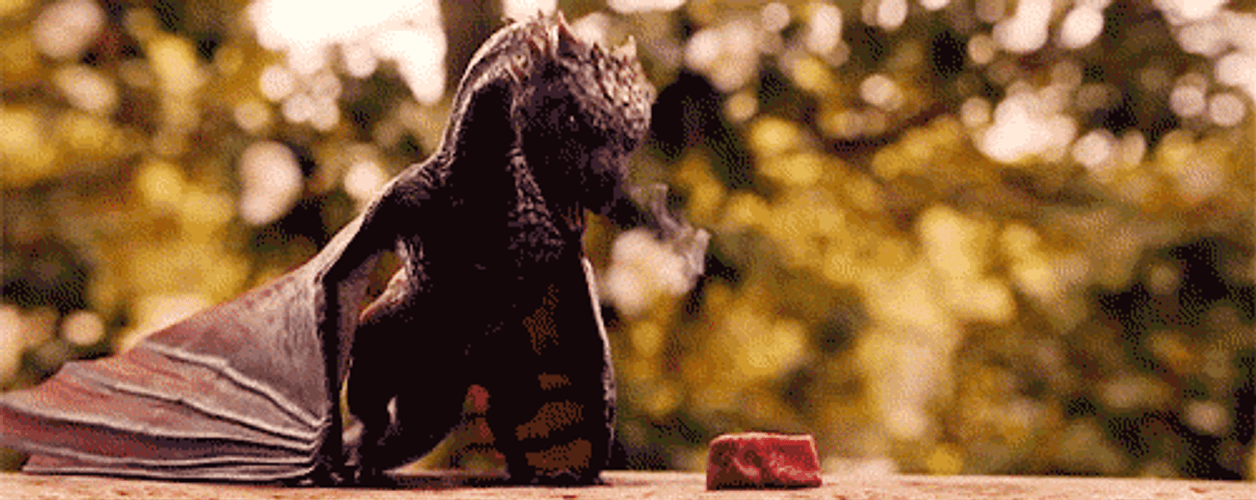 Game Of Thrones Baby Dragon GIF