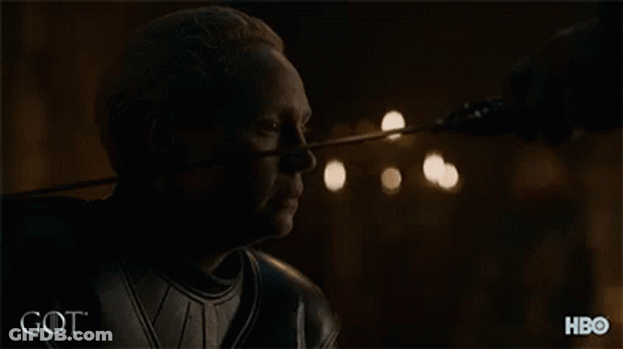 Game Of Thrones Brienne Pointed On By Sword GIF