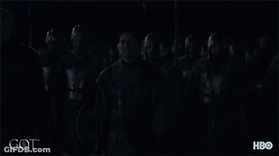 Game Of Thrones Brienne Troup Leader GIF