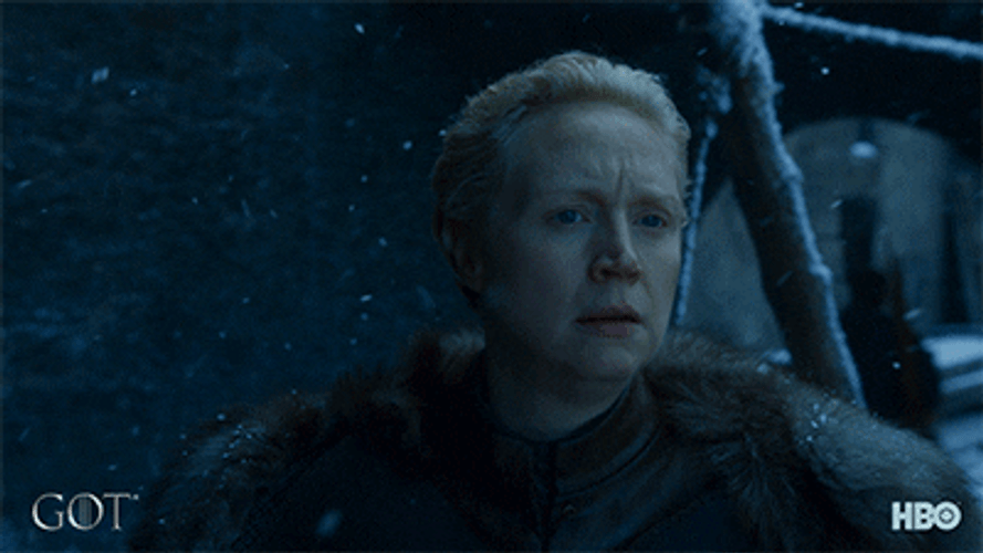 Game Of Thrones Brienne Watching Stark Family Leaves GIF