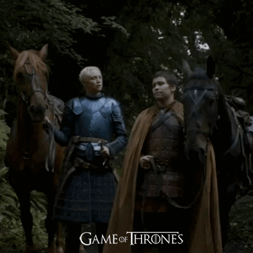 Game Of Thrones Brienne You Sure About That GIF