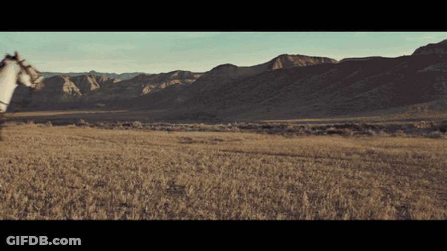 Game Of Thrones Horse Knight GIF