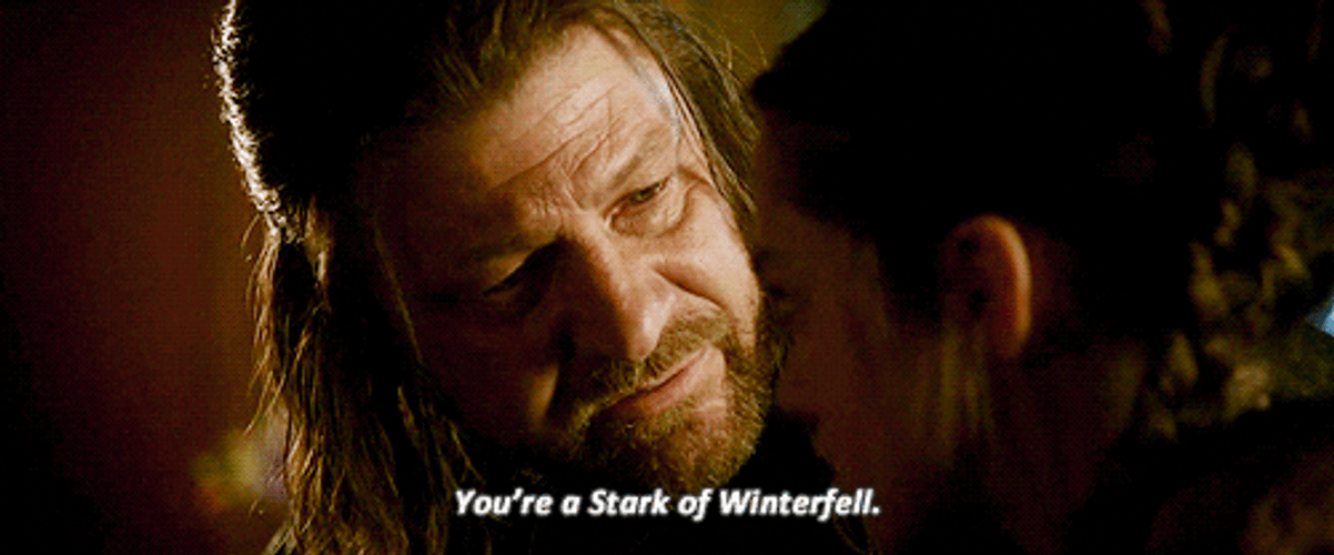 Game Of Thrones Ned Stark GIF